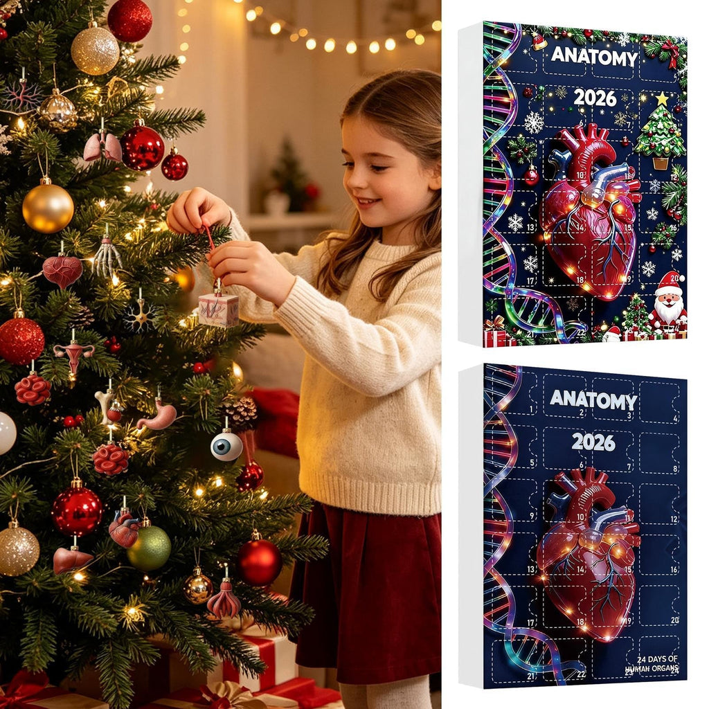 Anatomie Adventskalender 2026 - 24 Anhänger menschlicher Organe