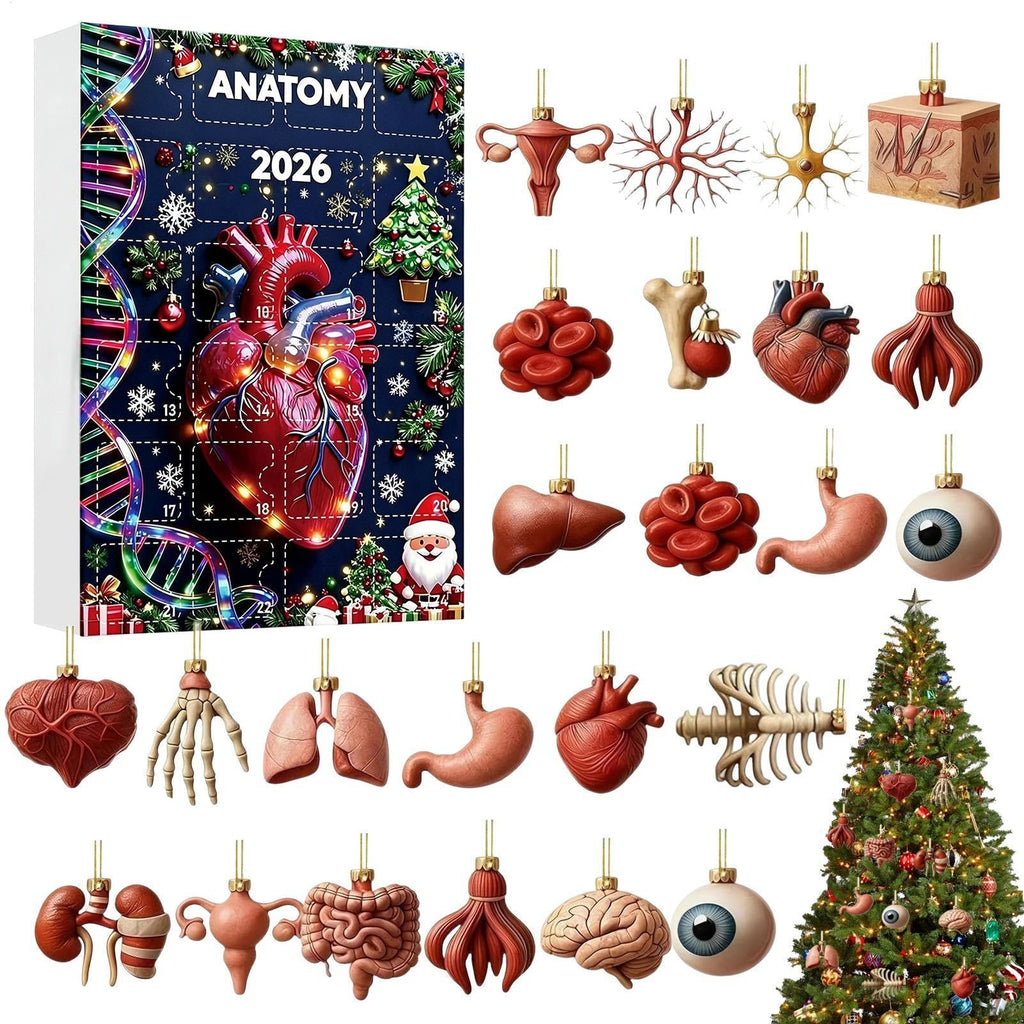 Anatomie Adventskalender 2026 - 24 Anhänger menschlicher Organe