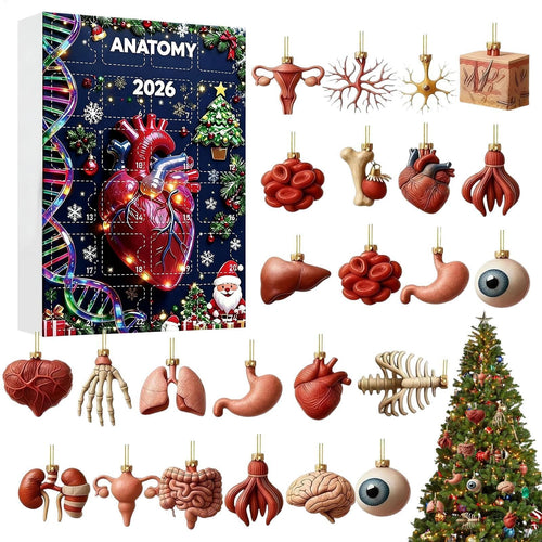 Anatomie Adventskalender 2026 - 24 Anhänger menschlicher Organe