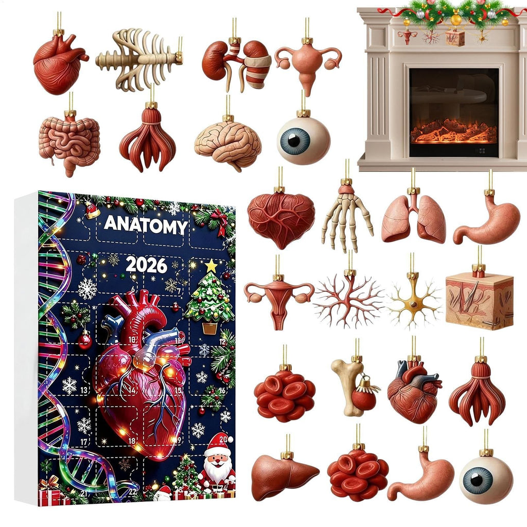Anatomie Adventskalender 2026 - 24 Anhänger menschlicher Organe