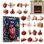 Anatomie Adventskalender 2026 - 24 Anhänger menschlicher Organe
