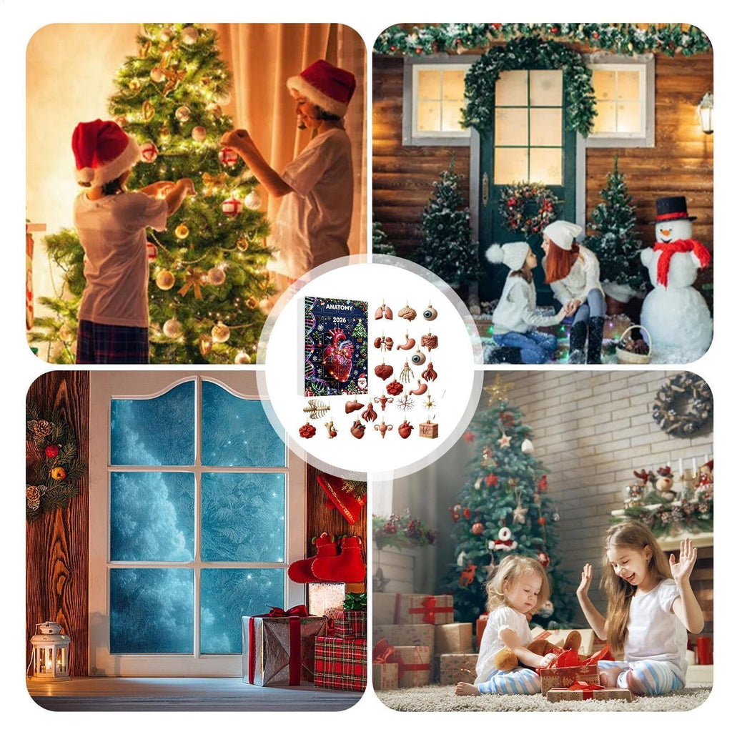 Anatomie Adventskalender 2026 - 24 Anhänger menschlicher Organe