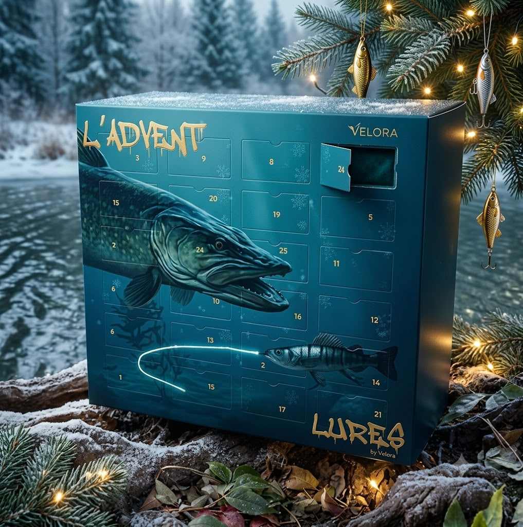 Angel-Adventskalender 2026 – 24 Überraschungen für Angler