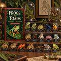 Frösche & Kröten-Adventskalender 2026 - 24 Froschfiguren
