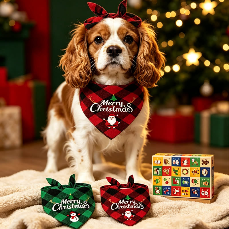 Katzen- und Hunde-Adventskalender 2026 – 24 Türchen, 24 Tierspielzeuge