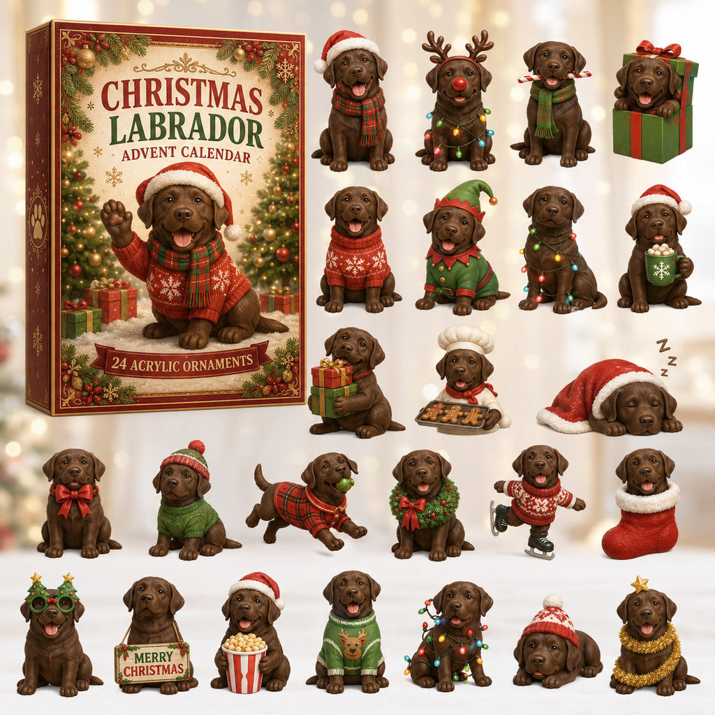 Labrador Adventskalender 2026 - 24 Acryl-Labradoranhänger