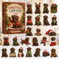 Labrador Adventskalender 2026 - 24 Acryl-Labradoranhänger
