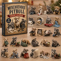 Pitbull Liebhaber 24-Tage Adventskalender 2026 Geschenk Festlich