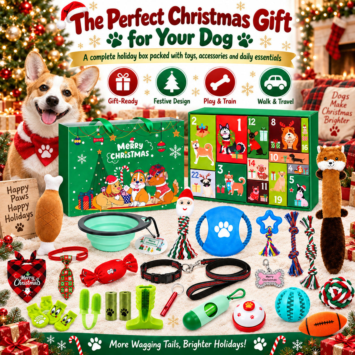Weihnachts-Hundegeschenk-Adventskalender - 24 Spielzeuge für Hunde